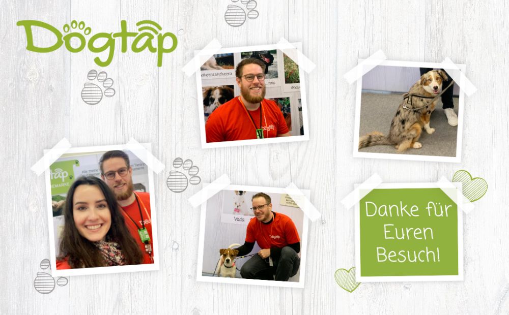 Bilder Collage mit Fotos der Doglive Messe Münster